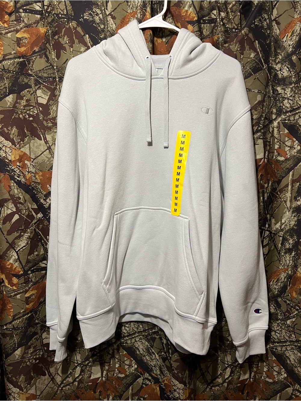 Champion hoodie NWT